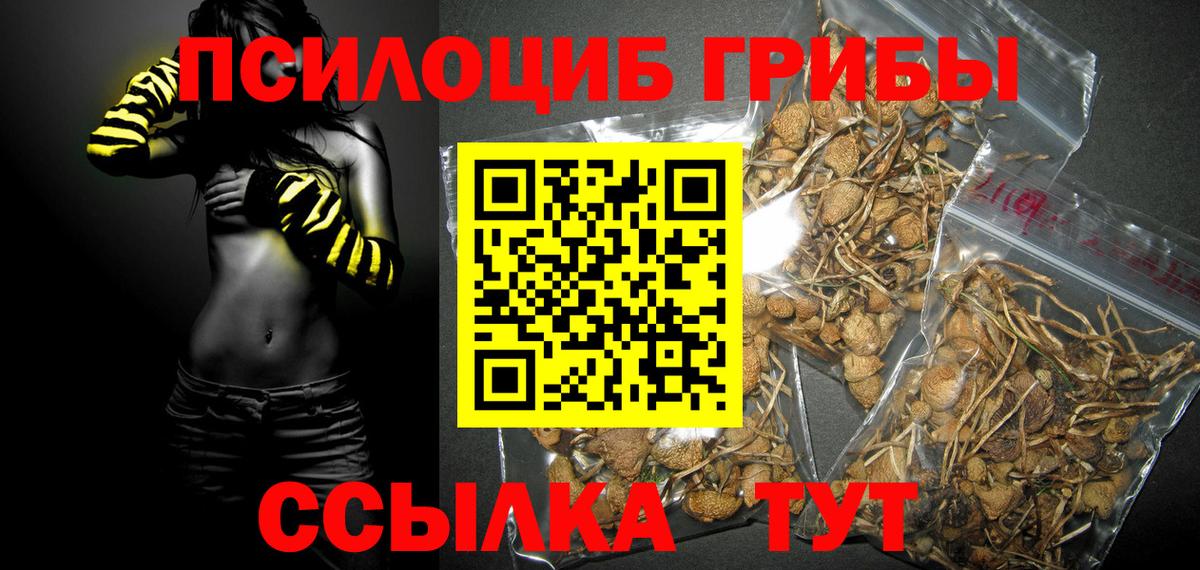 Волжский  Галлюциногенные грибы мицелий  Вход с VPN 