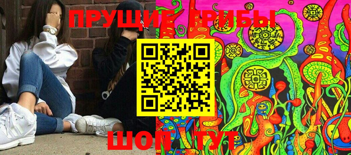 Псилоцибиновые грибы GOLDEN TEACHER Волжский